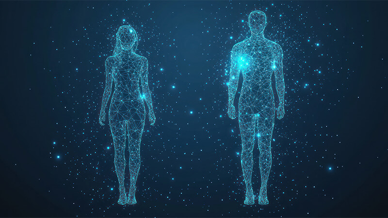 女性 メカニズム